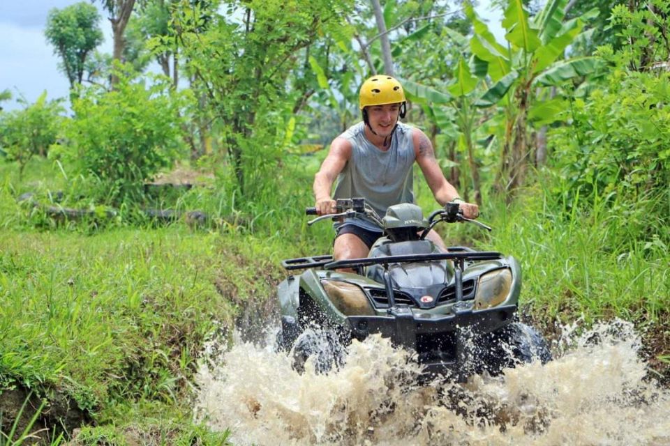 Private Transport (Car or Van) Charter With Guide - Tour Experiences