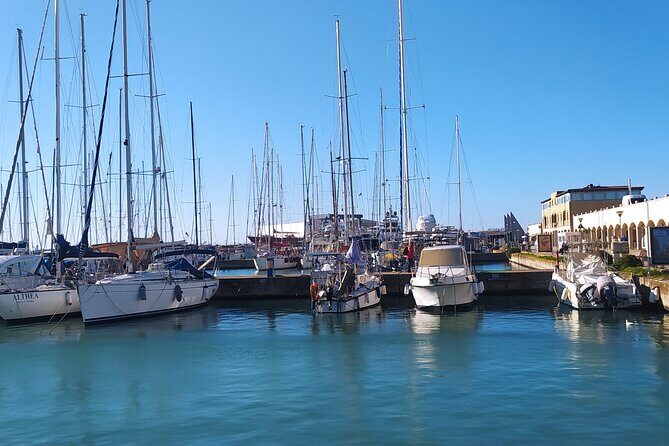 Private Transport from Civitavecchia Port to Rome or vice versa - Who Will Love This Service?