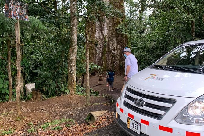 Private Transport La Fortuna - Tamarindo and Surrounding Areas - Contact and Reservations