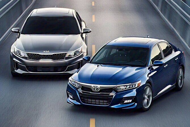 Private Transport Valle Guadalupe Worry Free 10H - A Deeper Look at the Experience