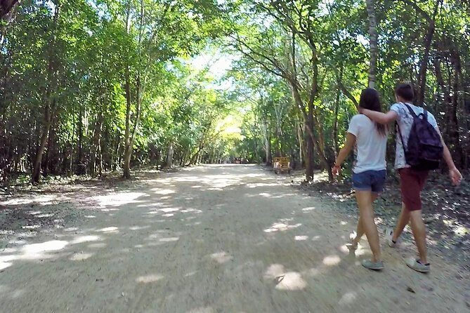 Private Transportation and admission ticket to Coba - The Experience: A Deep Dive into the Coba Tour