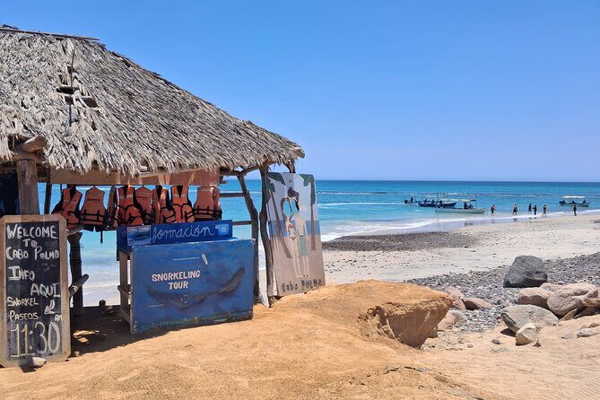 Private Transportation at VAN Airport Los Cabos - Cabo Pulmo Park - The Sum Up: Is This Transfer Right for You?