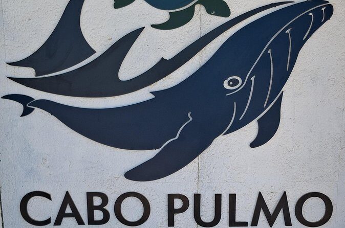 Private Transportation at VAN Airport Los Cabos - Cabo Pulmo Park - FAQ