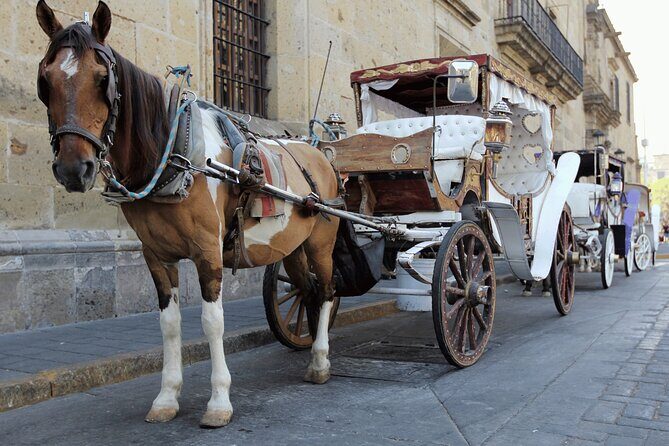 Private Transportation from Guadalajara to Puerto Vallarta - Scenic Route and Midway Stops