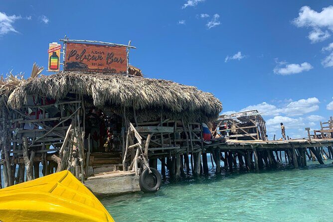 Private Transportation from Montego Bay to Appleton Estate & Pelican Bar - Introduction and Overall Impression