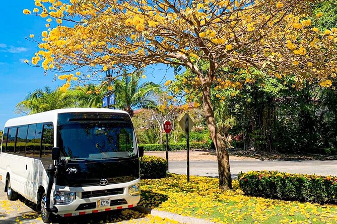 Private Transportation: Jaco to San José or Vice Versa - Group Size