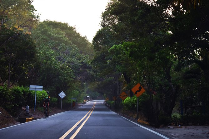 Private Transportation Service From Cartagena to Palomino - Highlights of the Features
