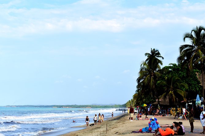 Private Transportation Service From Santa Marta to Palomino - Inclusions and Exclusions
