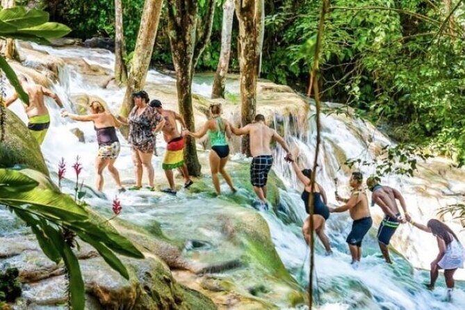 Private Transportation to Blue Hole & Dunns River Falls-w Drinks! - Transportation and Comfort