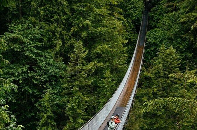 Private Transportation to Capilano Suspension Bridge Park - The Sum Up