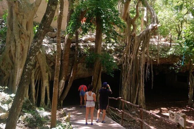 Private Transportation to Chichen Itza  Transportation Only - Analyzing Value and Practicality