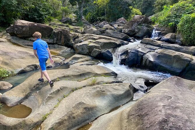 Private Transportation/Tour to Puerto Ricos Rainforest & Beach - Tour Overview