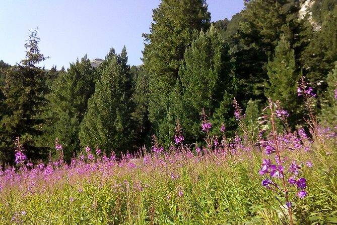 Private Trekking in Rila Mountains and Mt Mousala from Sofia - An In-Depth Look at the Tour