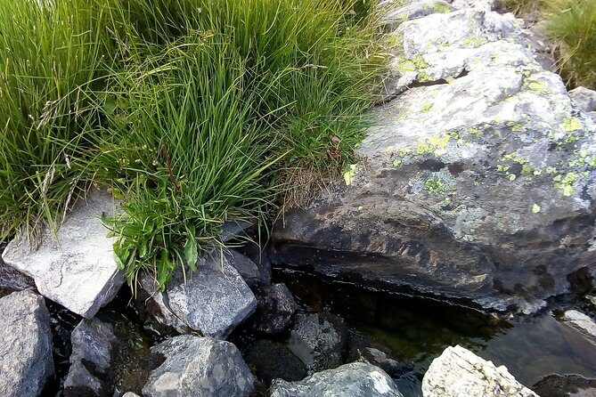 Private Trekking in Rila Mountains and Mt Mousala from Sofia - Final Thoughts