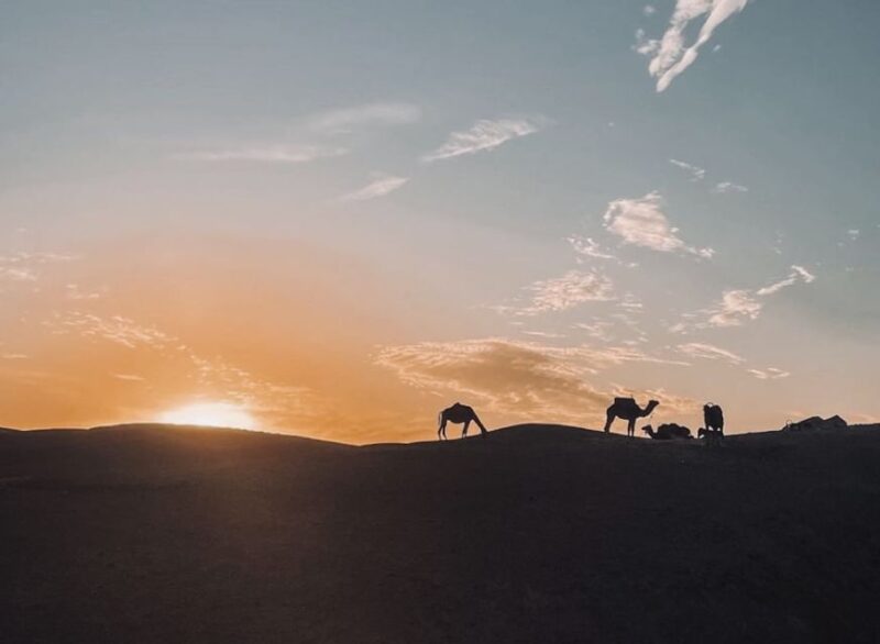 PRIVATE TRIP : ATLAS MOUNTAINS AND 2 VALLEYS FROM MARRAKECH - Berber Culture and Lifestyle
