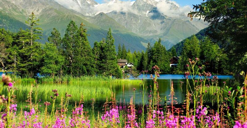 Private Trip From Geneva to Chamonix & Montreux - Scenic Journey