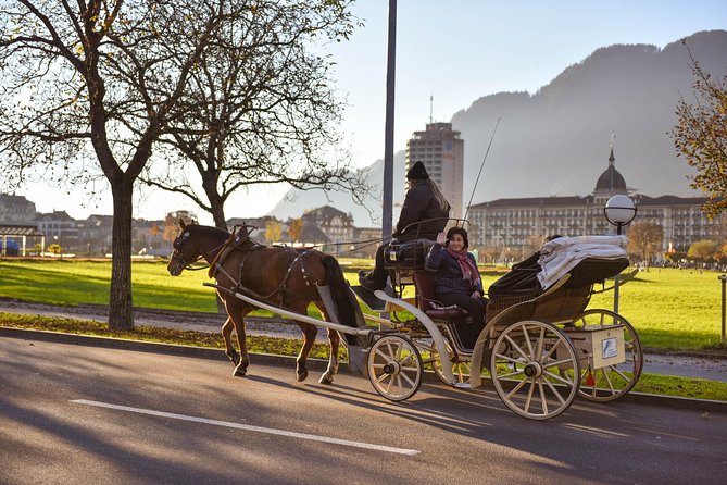Private Trip From Geneva to Interlaken - Exploring Heimwehfluh and Interlaken