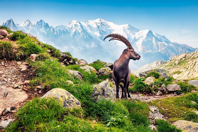 Private Trip From Geneva to Swiss Riviera Montreux & Chamonix - Cancellation and Support Policies