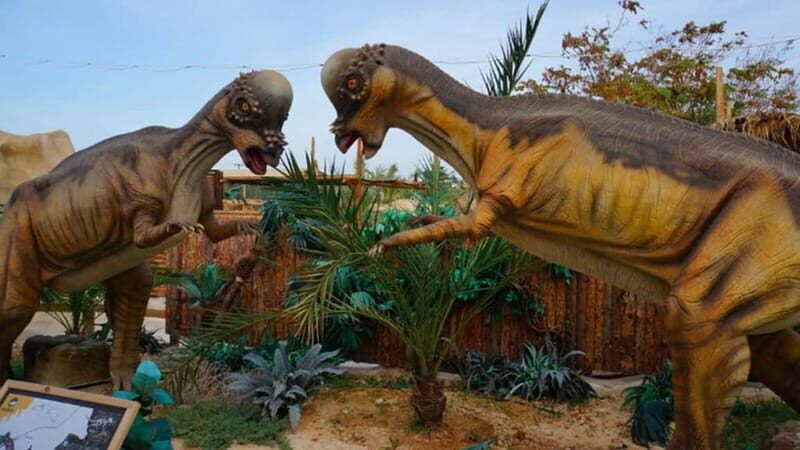 Private Trip From Rethymno to Dinosauria Park & Cretaquarium - The Transportation and Logistics