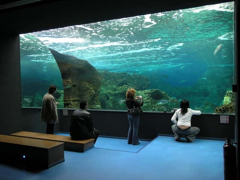 Private Trip From Rethymno to Dinosauria Park & Cretaquarium - The Experience From Visitors’ Perspectives