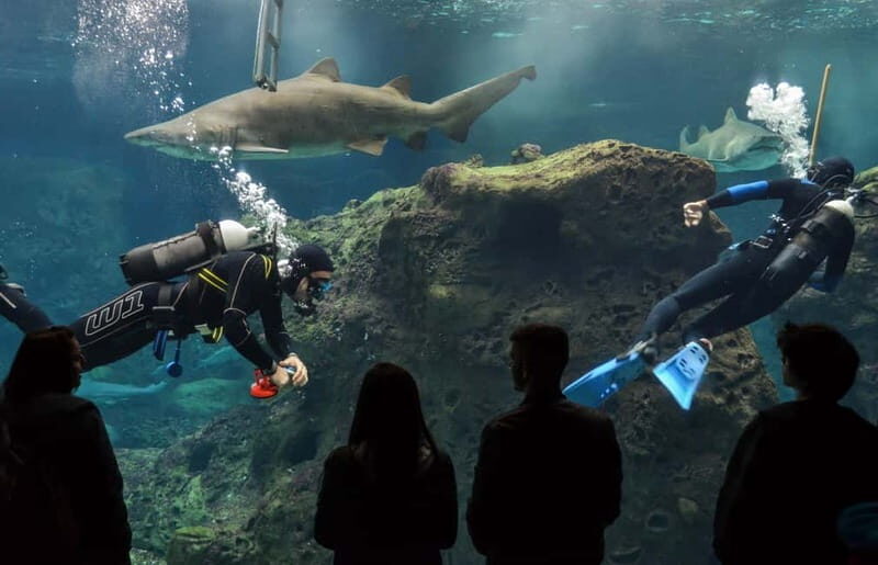 Private Trip From Rethymno to Dinosauria Park & Cretaquarium - Frequently Asked Questions