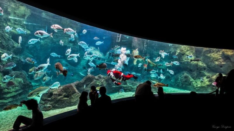 Private Trip From Rethymno to Dinosauria Park & Cretaquarium - What Travelers Say