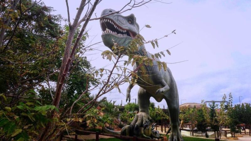Private Trip From Rethymno to Dinosauria Park & Cretaquarium - Overall Value and Who It’s For