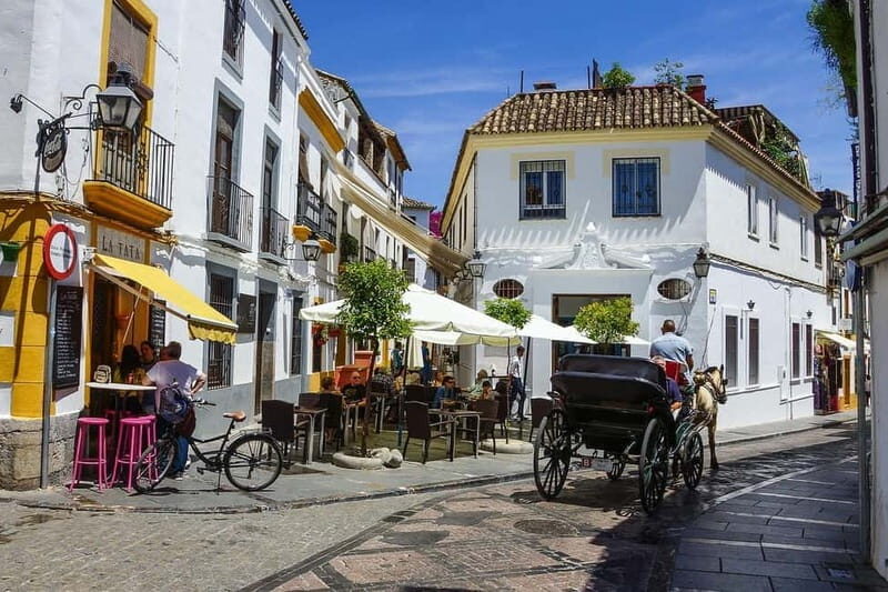 Private trip from Seville to Córdoba for small groups - A Deep Dive into the Experience