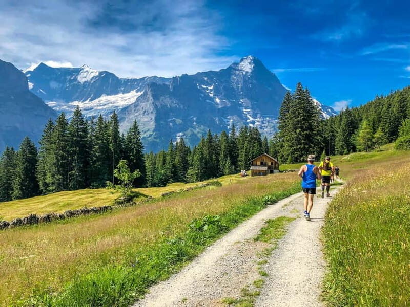 Private trip from Zurich to Grindelwald & Interlaken - The Sum Up