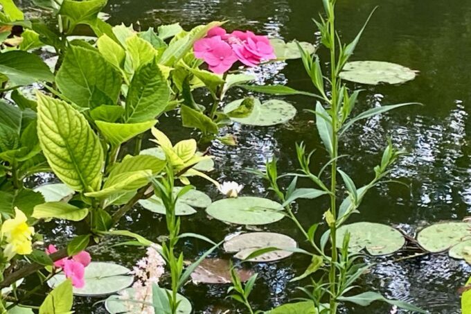 Private Trip Giverny Versailles Trianon From Paris - Suitability and Practicalities