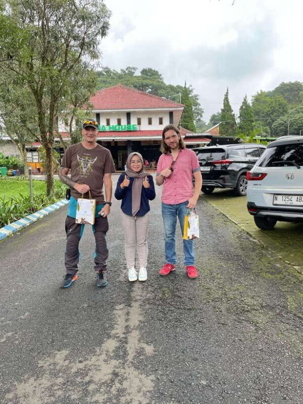 Private Trip Malang/Surabaya : Tour Tea Plantation Wonosari - Who Will Love This Tour?
