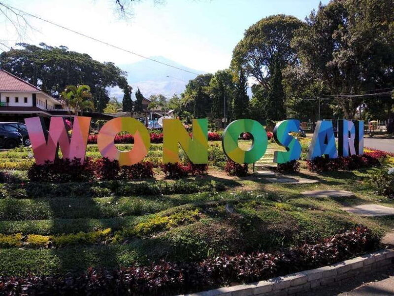 Private Trip Malang/Surabaya : Tour Tea Plantation Wonosari - Final Thoughts: Should You Take This Tour?