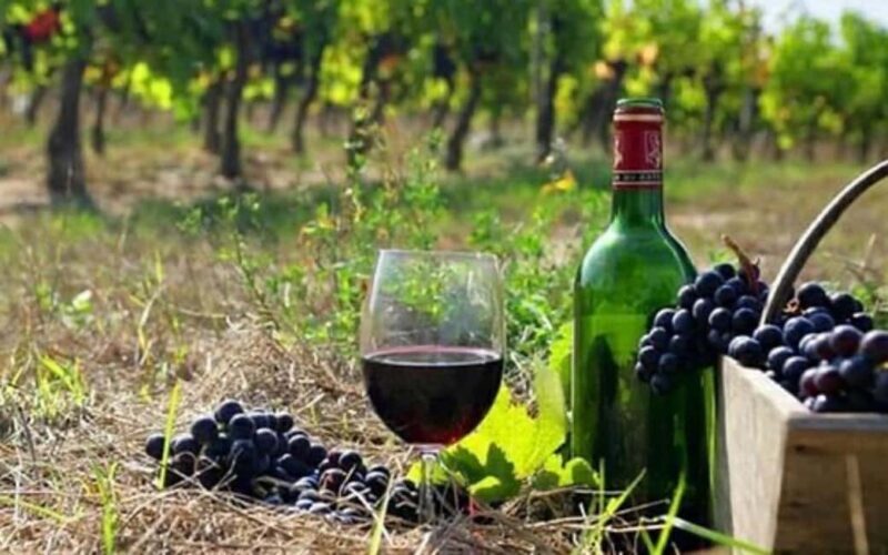 Private Trip: Tatev Ropeway-Shaki Waterfall-Wine Degustation - Who Will Love This Tour?  