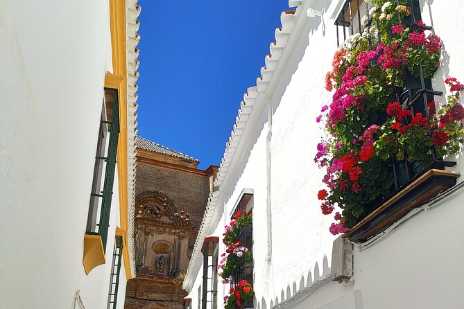 Private Trip to Carmona From Seville: 5000 Years of History - Booking Details