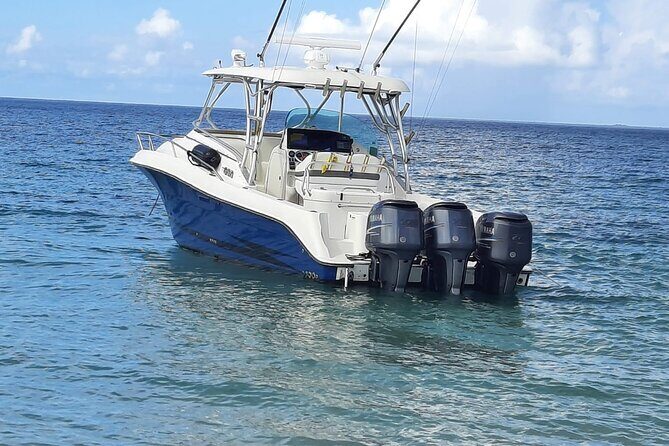 Private Trip to Cayo Icacos Island - What the Tour Offers: A Closer Look