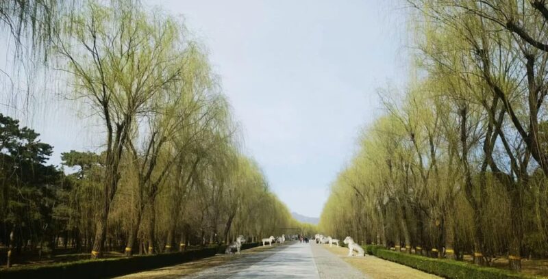Private Trip to Great Wall+ Ming Tombs With English Driver - Good To Know