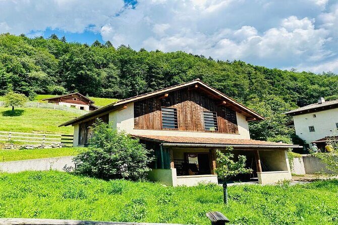 Private Trip to Heidi World Family Day from Zurich - Analyzing the Value