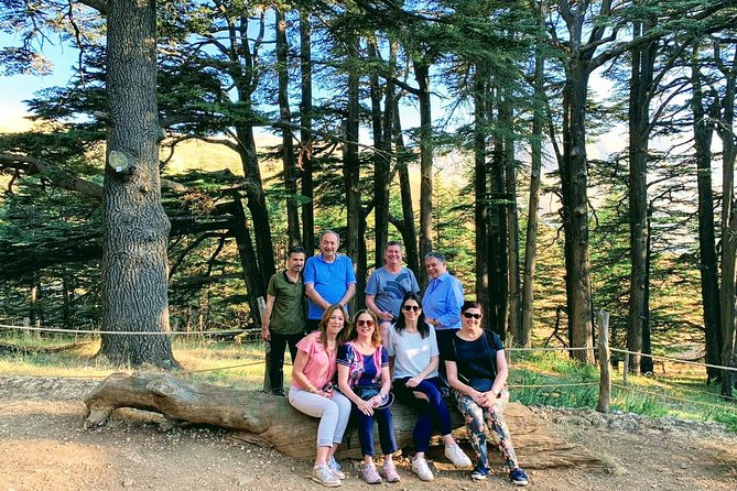 Private Trip to Qadisha Valley, Bcharri and Cedars of God - Visiting Gibran Museum