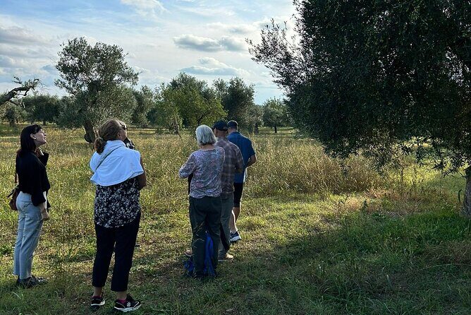 Private Trip to the Vineyards of Ginosa with tasting from Matera - Discovering the Charm of Ginosa’s Vineyards and Olive Groves