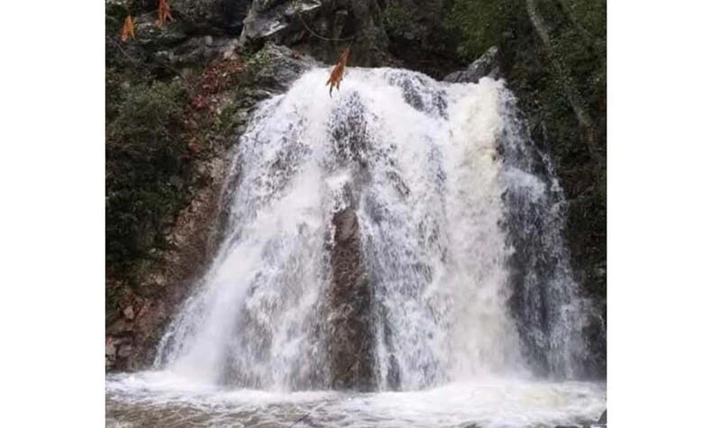 Private Troodos 4x4 Tour -Guided by Mario from the SuperTeam - Final Thoughts: Who Will Love This Tour?