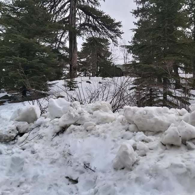Private Troodos 4x4 Tour -Guided by Mario from the SuperTeam - FAQs