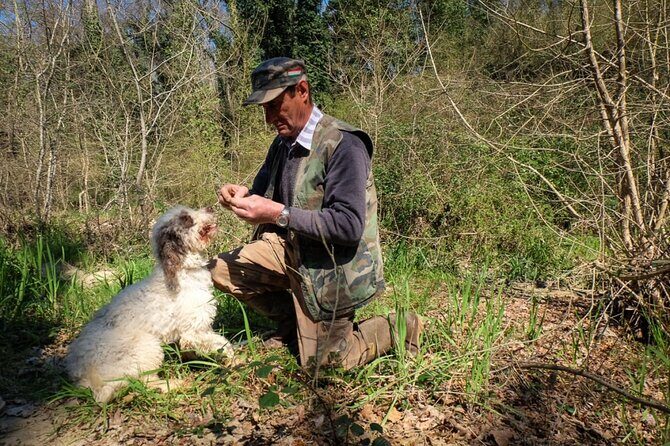 Private Truffle Hunt in Tuscany - An In-Depth Look at the Truffle Tour Experience