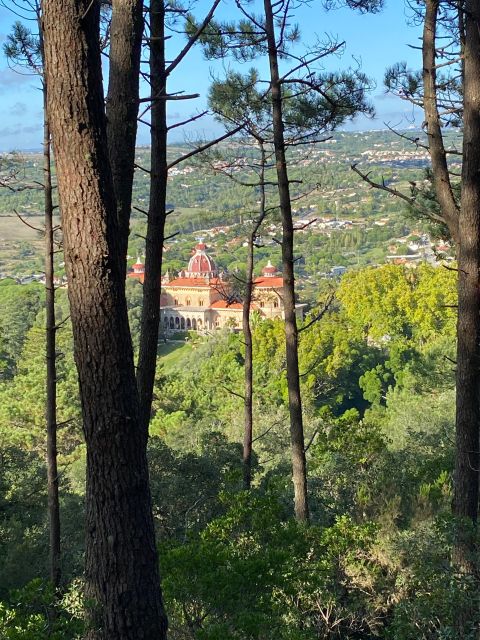 Private Tuk Tuk Tour Around Sintra - Monument Visits