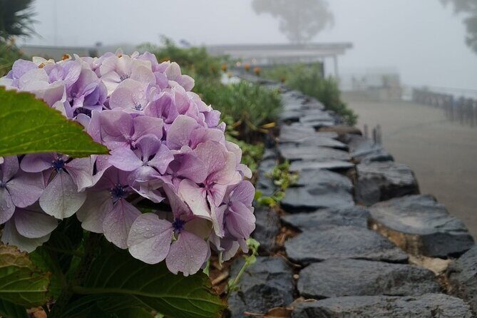 Private Tuk Tuk Tour in Nuns Valley - The Itinerary and Its Highlights