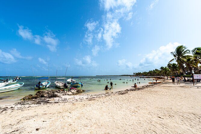 Private Tulum Akumal Cenotes Experience - The Value Proposition: Is It Worth It?