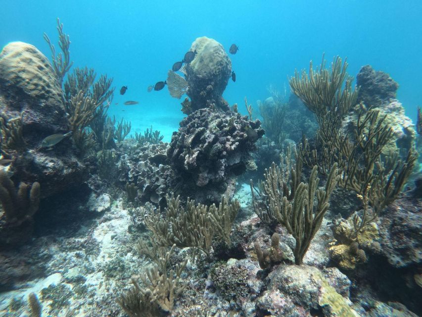 PRIVATE TULUM RUINS SNORKEL SAILING CENOTE - Frequently Asked Questions