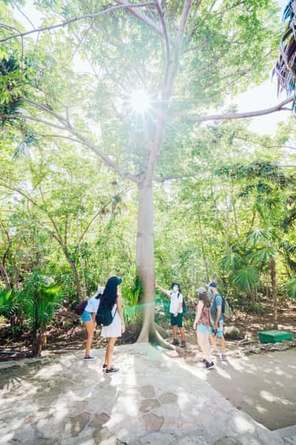 Private Tulum Ruins & Underground Cenote with Lunch Included - The Sum Up