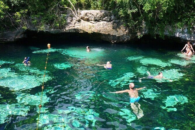Private Turtle encounter + Cenote Adventure! Express Tour - An In-Depth Look at the Tour Experience