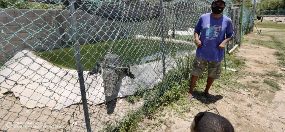 *Private Turtle Hatching 3 Palos Lagoon & Crocs Farm & Lunch - Tour Inclusions
