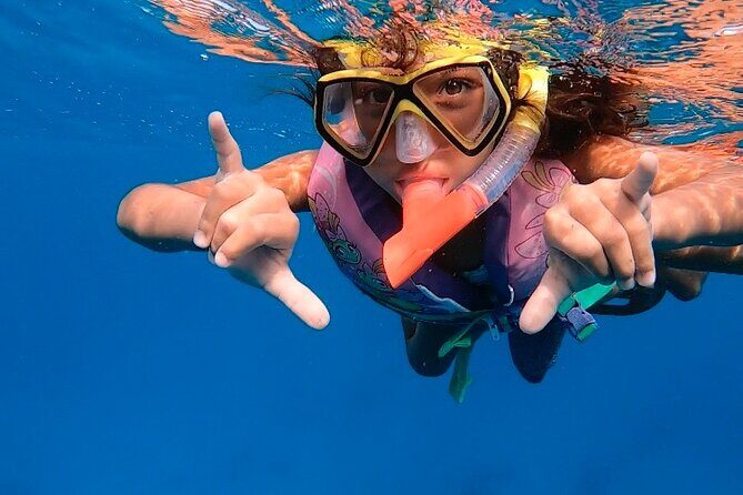 Private Turtle Spotting Snorkeling Excursion in Aruba - What Do Reviewers Say About the Experience?